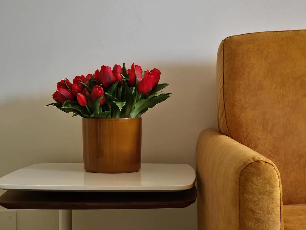 Apartmán Campanella - Centro Storico Arezzo 0*,  Itálie